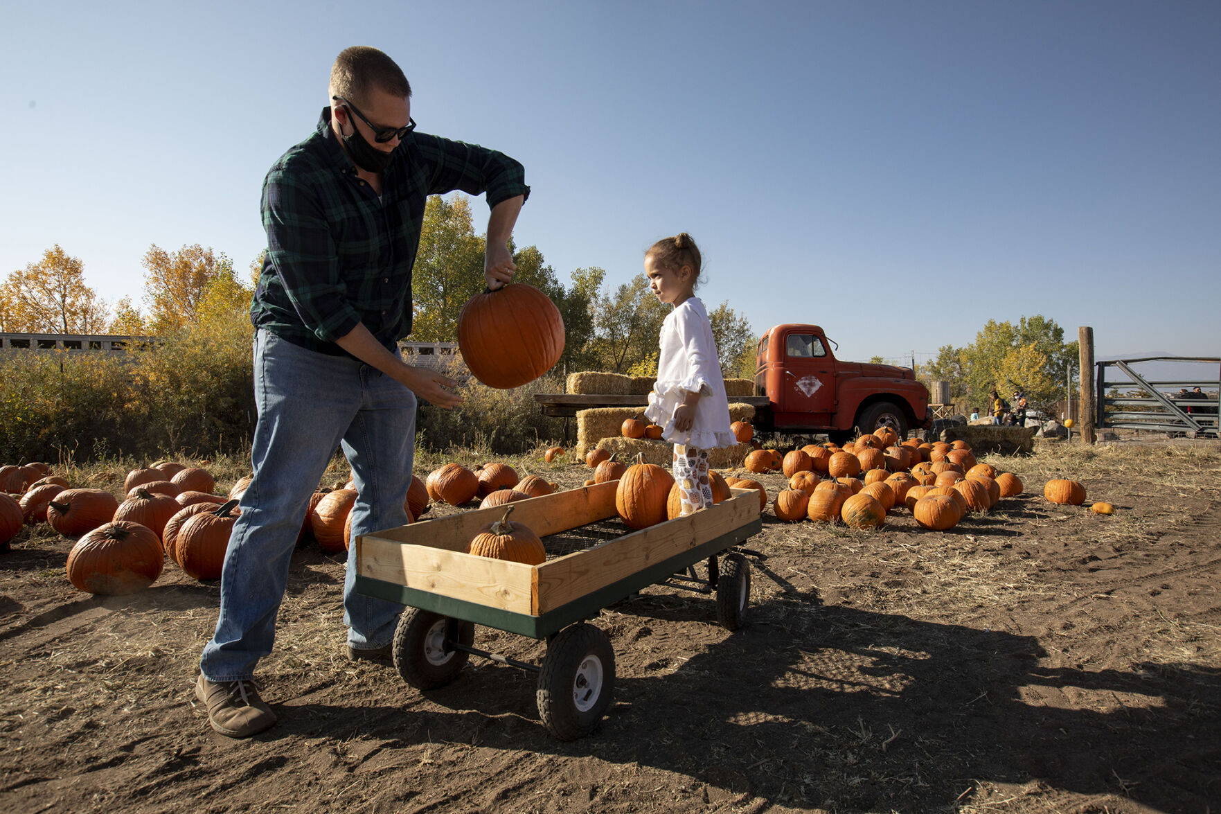 101120-news-pumpkins 02.jpg
